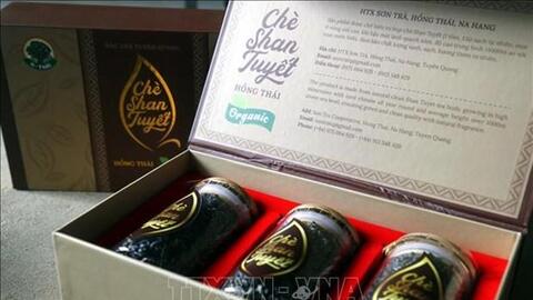 Khẳng định thương hiệu chè đặc sản Shan tuyết Na Hang