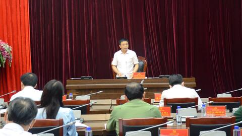 Tủa Chùa: Nông dân làm giàu từ cây chè Shan tuyết