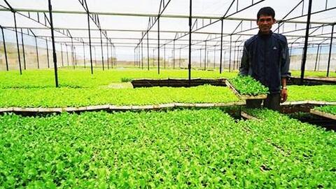 Lâm Đồng hành động vì mục tiêu 200 mô hình kinh tế tập thể công nghệ cao