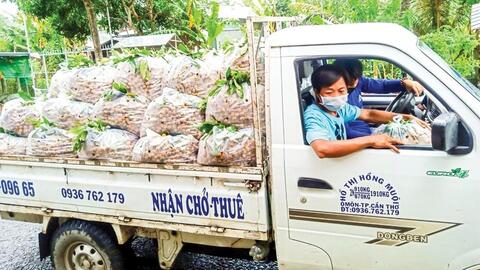 Hỗ trợ hợp tác xã đưa nông sản lên sàn thương mại điện tử 