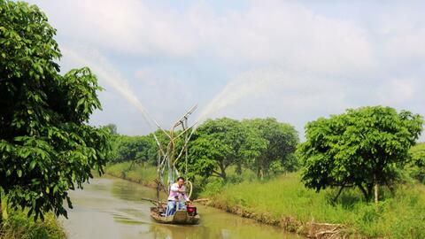 Cờ Đỏ phát triển thêm 3 hợp tác xã nông nghiệp 