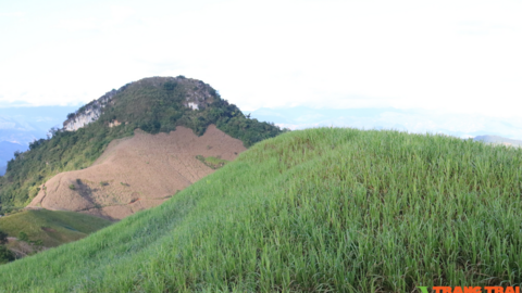 Nông thôn Tây Bắc: Vị ngọt cây mía về với Hua Nhàn