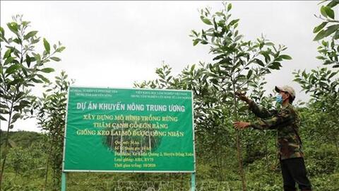 Kỳ vọng mở hướng đi mới cho vùng nông thôn Phú Yên