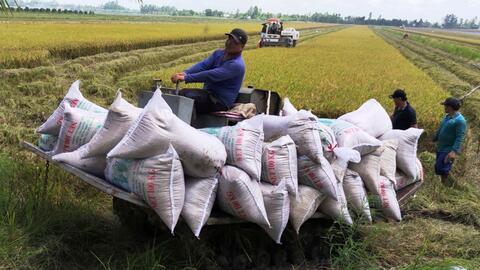 Phát triển nông nghiệp, nâng cao thu nhập người dân nông thôn 