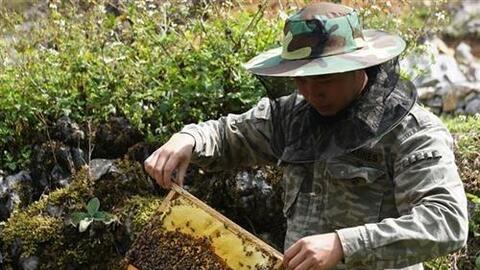 Hiệu quả từ những mô hình khuyến nông ở Hà Giang