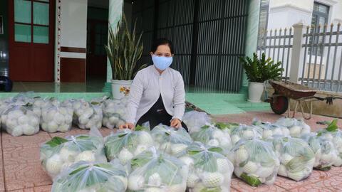 Nông dân trồng ổi gặp khó vì giá giảm kéo dài 
