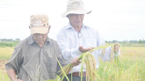 Giá vật tư tăng gấp đôi, nông dân lo nguy cơ thua lỗ