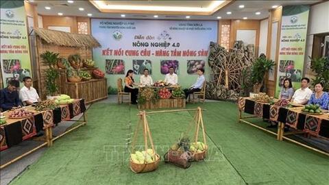 Gian nan câu chuyện đưa sản phẩm hợp tác xã lên sàn
