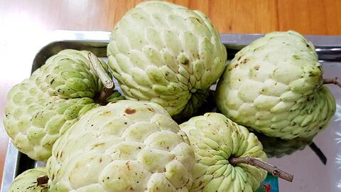 An Giang phát triển những vùng cây ăn trái bền vững