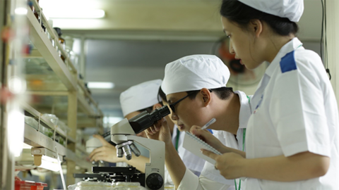 Bà Rịa – Vũng Tàu ban hành Kế hoạch ứng dụng công nghệ sinh học đến năm 2025, định hướng đến năm 2030