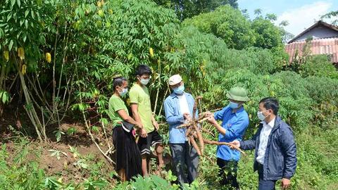 Sìn Hồ nỗ lực đảm bảo an sinh xã hội