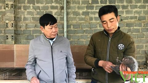 Chiềng Cọ: Đa dạng các mô hình phát triển kinh tế