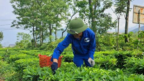Tân Uyên: Ký kết hợp tác hỗ trợ nông dân chuyển đổi số