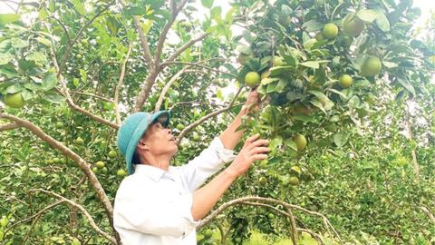 Hương Xuân về đích nông thôn mới nâng cao