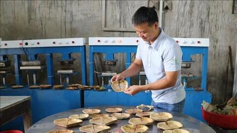 Độc đáo những chiếc đĩa thân thiện với môi trường từ lá nho biển