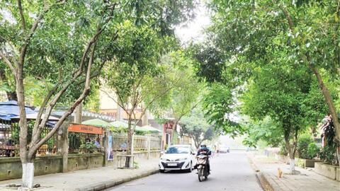 Tạo cơ hội cho các hộ kinh doanh rong bạ
