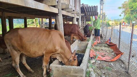 Lão nông vùng cao làm theo lời Bác