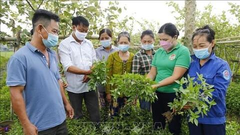 Phát triển nông nghiệp sinh thái - hướng đi bền vững