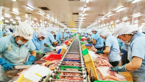 Thốt Nốt - Nhiều giải pháp thúc đẩy phát triển kinh tế 