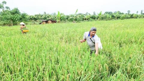 Cần “trợ lực” cho nông dân 