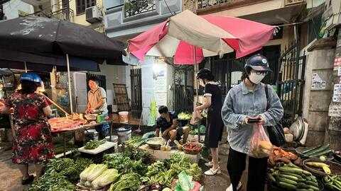 Rau xanh tăng giá chóng mặt, người tiêu dùng "bỏng tay"