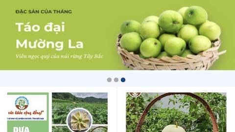 Bắc Kạn đẩy mạnh ứng dụng thương mại điện tử trong tiêu thụ các sản phẩm OCOP