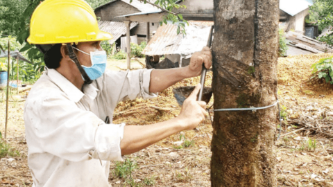 Thêm cơ hội an cư cho người dân các xã đặc biệt khó khăn