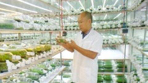 Đòn bẩy tái cơ cấu nông nghiệp, gắn xây dựng nông thôn mới ở TP. Hồ Chí Minh