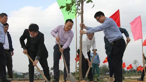 Xây dựng mô hình "Hàng cây nông dân ơn Bác gắn với giữ gìn và khôi phục cảnh quan nông thôn"