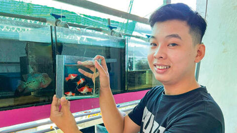 Khởi nghiệp với mô hình nuôi cá kiểng 