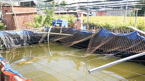 ÐBSCL chủ động phòng, chống hạn, xâm nhập mặn 