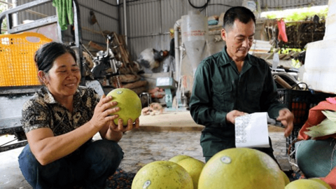 Tuyên Quang ứng dụng công nghệ nhằm nâng cao giá trị gia tăng