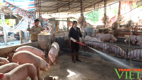 Đồng hành cùng hội viên phụ nữ làm kinh tế