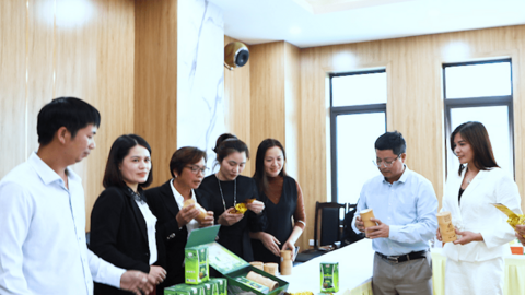 Cây chè giúp người dân làm giàu trên quê hương