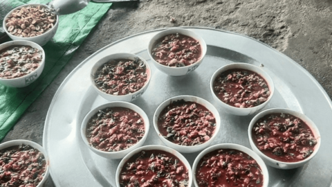 2 bệnh nhân nguy kịch vì mắc liên cầu khuẩn lợn