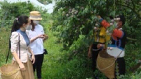 Nông dân hưởng lợi cao nhờ áp dụng khoa học kỹ thuật