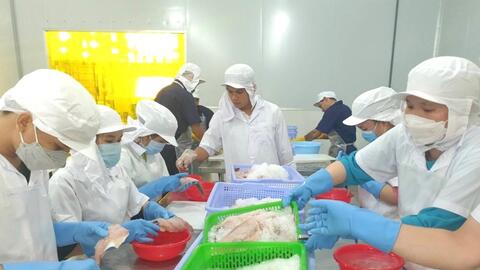 Phấn đấu có trên 60% hợp tác xã hoạt động có hiệu quả 