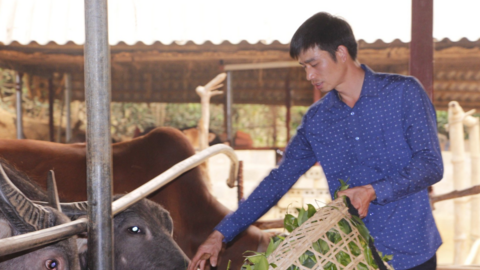 Nông dân thoát nghèo từ mô hình chăn nuôi tuần hoàn