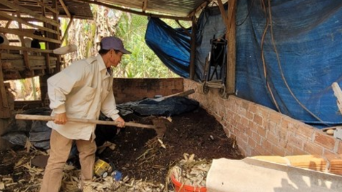 Phát triển kinh tế tuần hoàn trong nông nghiệp ở Bà Rịa-Vũng Tàu: Lợi đơn lợi kép