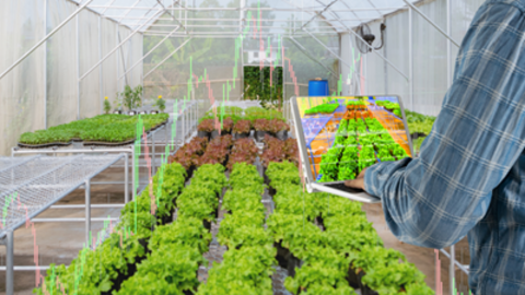 Bình Phước hướng đến xây dựng nông thôn mới thông minh