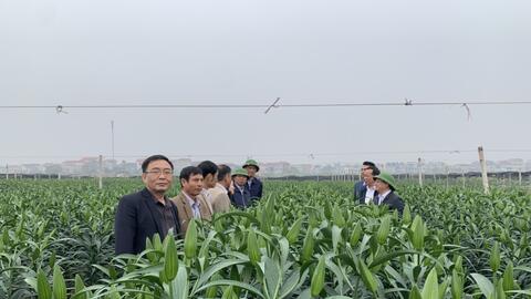 Thành công trong xây dựng nông thôn mới nâng cao ở xã Tự Lập