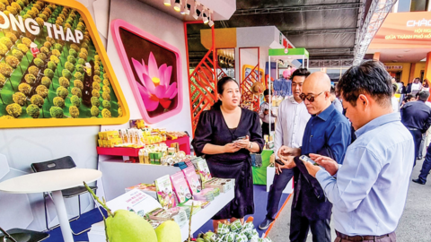 Để phát triển bền vững ngành hàng xoài 