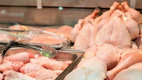 Hàng chục ngàn tấn gà thải loại được nhập lậu mỗi tháng