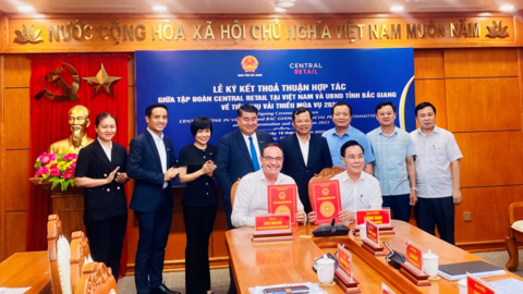 Hợp tác tiêu thụ vải thiều mùa vụ 2023