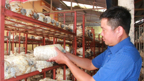 HTX sản xuất nấm sạch ở Nam Định vinh dự được Thủ tướng Chính phủ tặng Bằng khen