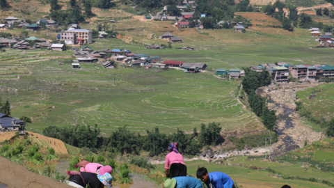 Sa Pa phấn đấu gieo cấy hơn 3.800 lúa mùa