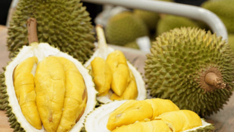 Vì sao Thái Lan bán được nhiều nông sản sang Trung Quốc hơn Việt Nam?