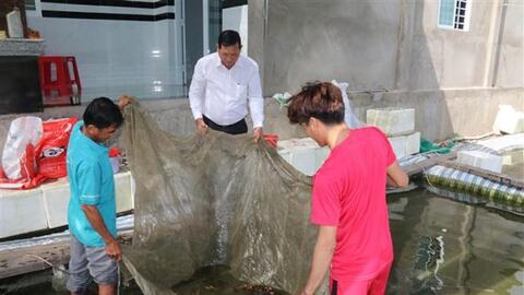 Hiệu quả từ chuyển đổi đất lúa kém hiệu quả sang cây trồng khác