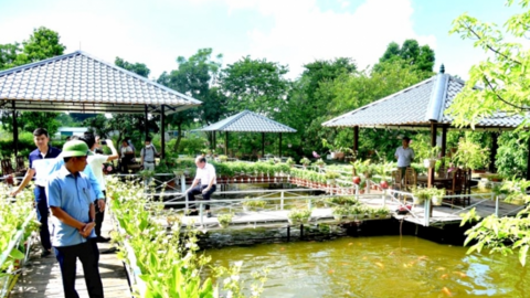 Khơi thông cơ chế phát triển nông nghiệp xanh