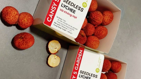 Vải thiều không hạt Việt Nam xuất khẩu sang Nhật, Anh giá bán gần 1 triệu/kg